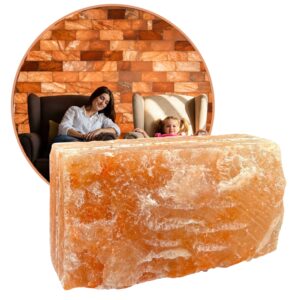 SOLNÁ CIHLA 2,5 kg JEDNOSTRANNĚ ŠTÍPANÁ 20x10x5