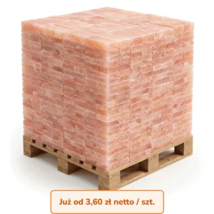 PALETA CEGIEŁ SOLNYCH 1,3 kg DO GROTY SOLNEJ 20x10x2,5